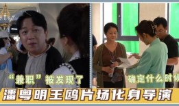 王导导演爆料视频,独家爆料视频背后的故事